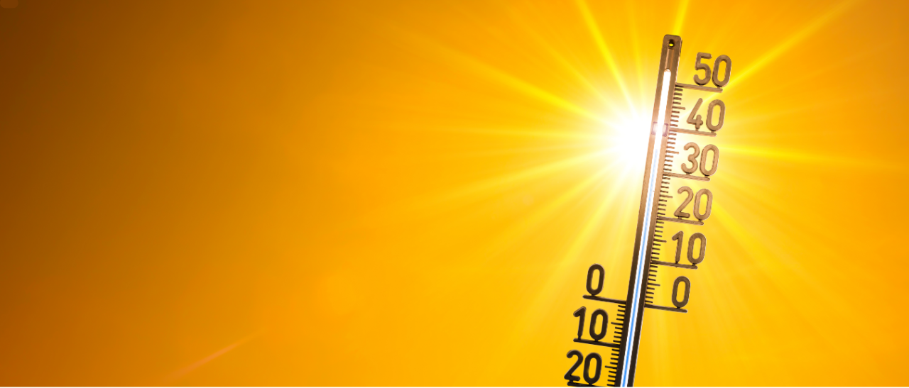 Réalise est un maître d’œuvre et constructeur de maison en Ille-et-Vilaine, spécialisé dans la construction neuve, la rénovation énergétique, l’extension et l’agrandissement de maison. Nous intervenons à Rennes, Saint-Malo, Vitré, Fougères, Redon, Cesson-Sévigné, Dinard, Bruz, Betton, Châteaugiron et dans toute la région. Face au réchauffement climatique et aux fortes chaleurs, nous proposons des solutions durables pour améliorer le confort thermique des habitations : isolation performante, orientation bioclimatique, ventilation naturelle, matériaux biosourcés. Que vous ayez un projet de rénovation complète, de construction de maison individuelle ou d’extension, Réalise vous accompagne avec une approche sur mesure, responsable et adaptée aux enjeux climatiques actuels. Faites confiance à un maître d’œuvre local pour créer un habitat confortable, économe en énergie et pensé pour l’avenir.